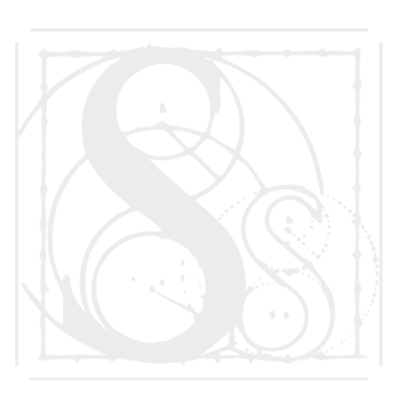 Logoicon S